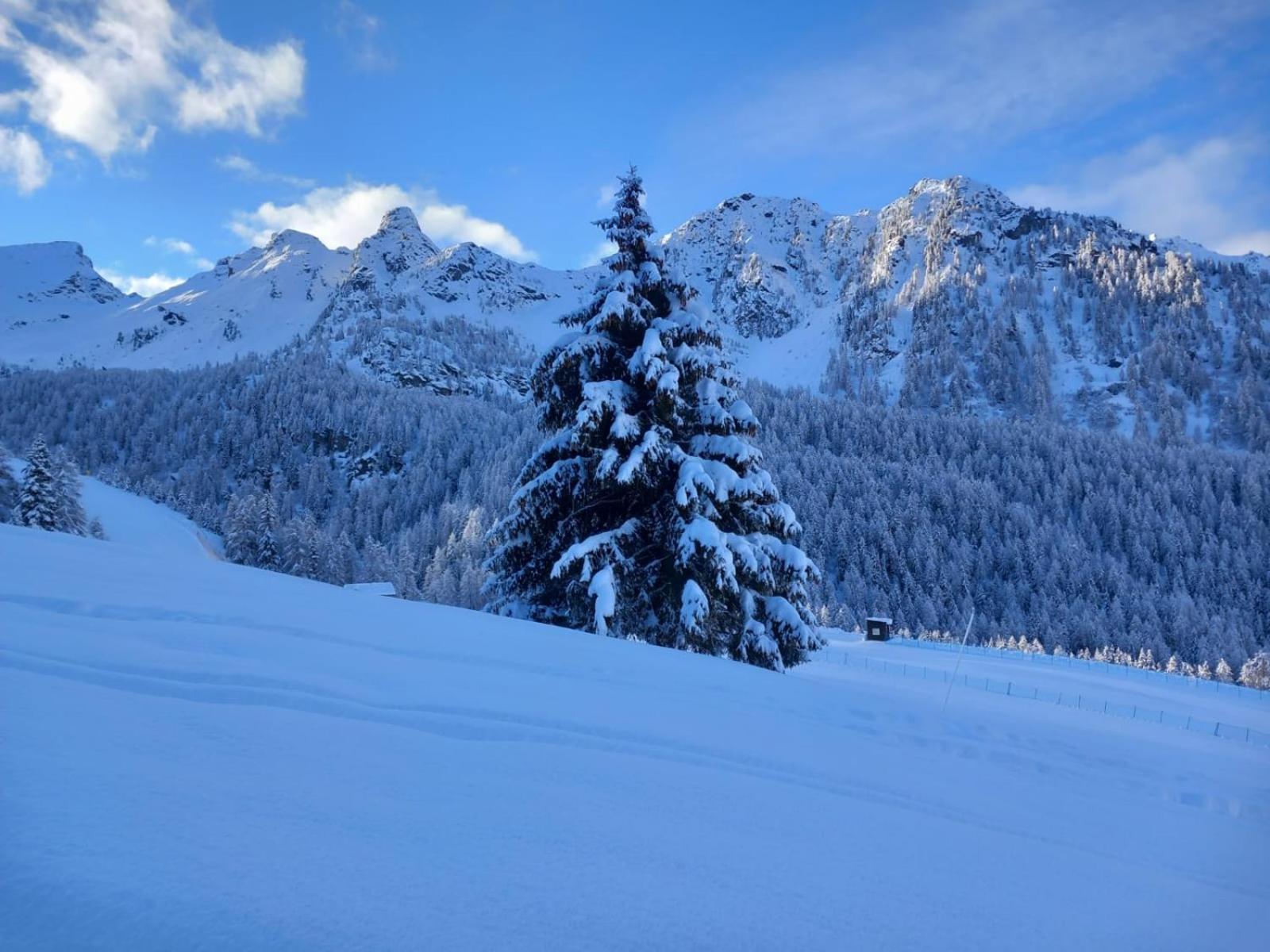 L' Aroula Rooms & Restaurant Champoluc Exteriör bild